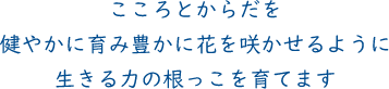 こころとからだを健やかに育み豊かに花を咲かせるように生きる力の根っこを育てます